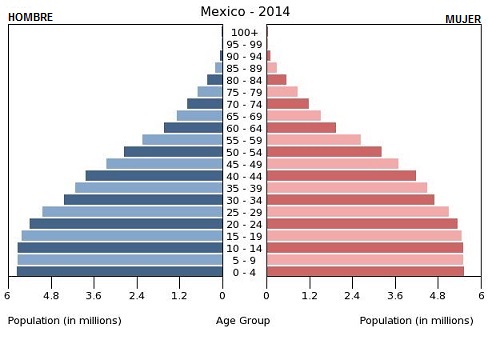 Resultado de imagen de PIRAMIDE DE EDADES MEXICO