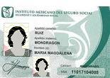 credencial imss
